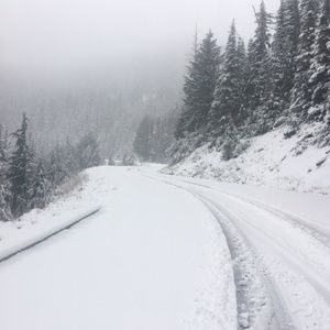 Meet your Posher, Tanez